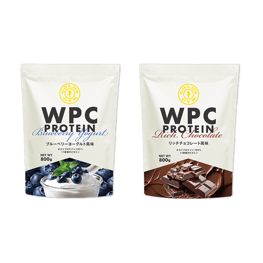 GOLD'S GYM Soy Protein 800g (Backordered) 