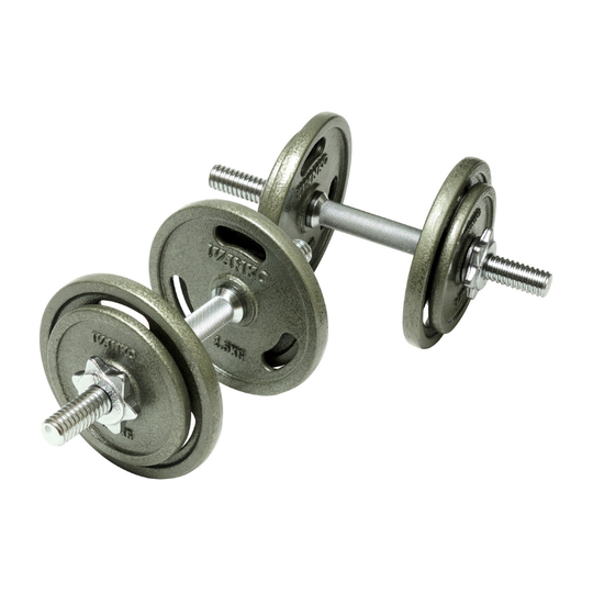 IVANKO 28mm IBPN Painted Plate Dumbbell Set [5kg/1.25kg out of stock]