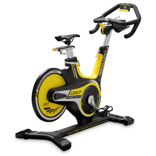 Johnson HORIZON GR7 Indoor Bike